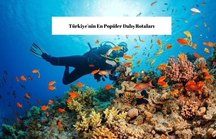 Türkiye’nin Dalış Rotaları